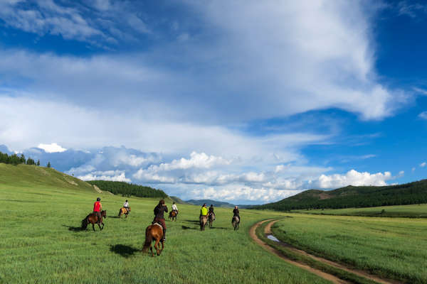 Grassland Exploration and Horseback Riding